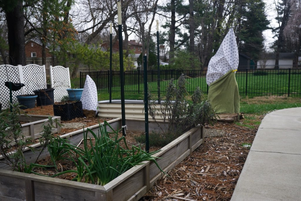 A Taste of&nbsp;Spring